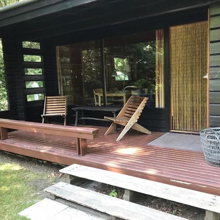 Meppen Fins Boshuisヴィラ エクステリア 写真